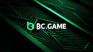 Comprehensive Overview of the BC App Features and Benefits