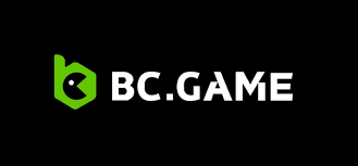 Comprehensive Overview of the BC App Features and Benefits